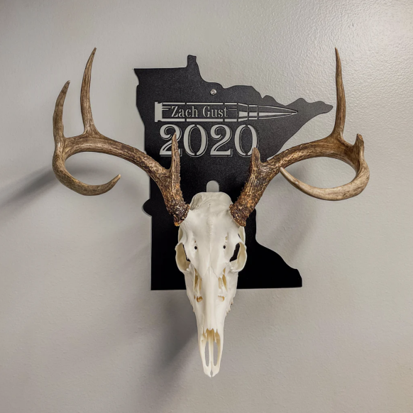 European Skull Wall Mount