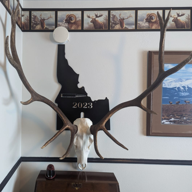 Soporte de pared de calavera europea