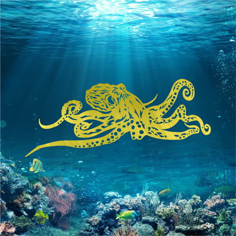 Octopus v1