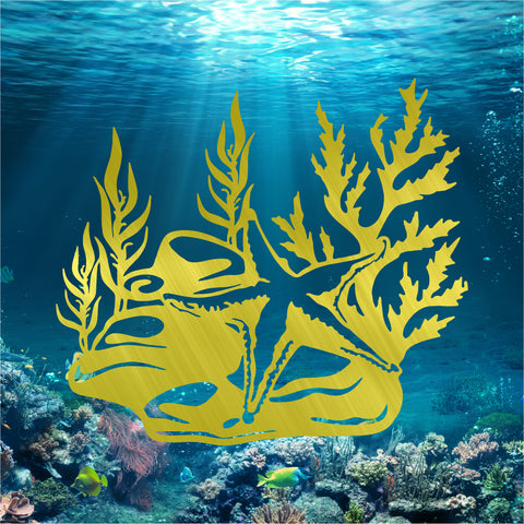 Starfish Seaweed
